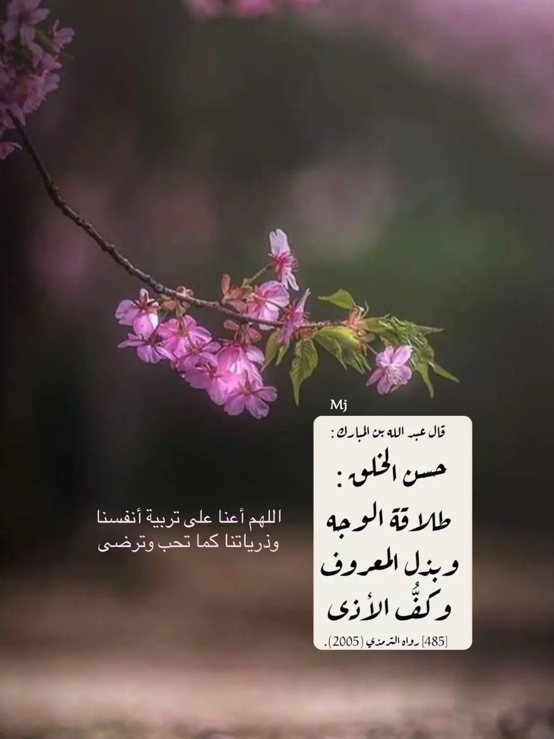 علامات حسن الخلق .. #اقتباسات_خواطر_عبارات #ميما🇸🇦  #اكسبلورexplore 