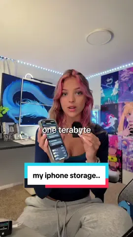 my iphone storage... #lindseyszn #techgirl #techbaddie #pcsetup #iphone #phonestorage 