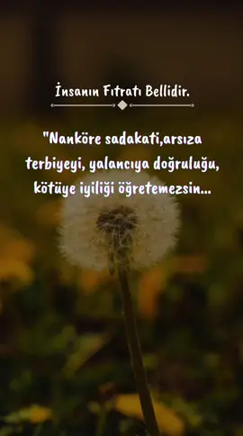 #dinisözler #güzelsözler #anlamlısözler 