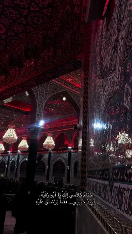 #كربلاء_مدينة_العشق_والعاشقين #يااباعبدالله_الحسين_نضره_منك_مولاي🥺🖤#اكسبلور #تصويري 