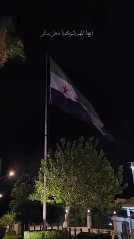 💚💚 #سوريا #الجمهورية_العربية_السورية #وطني_الحبيب #سوريا🇸🇾 #دمشق #اكسبلور #فولو #💚 