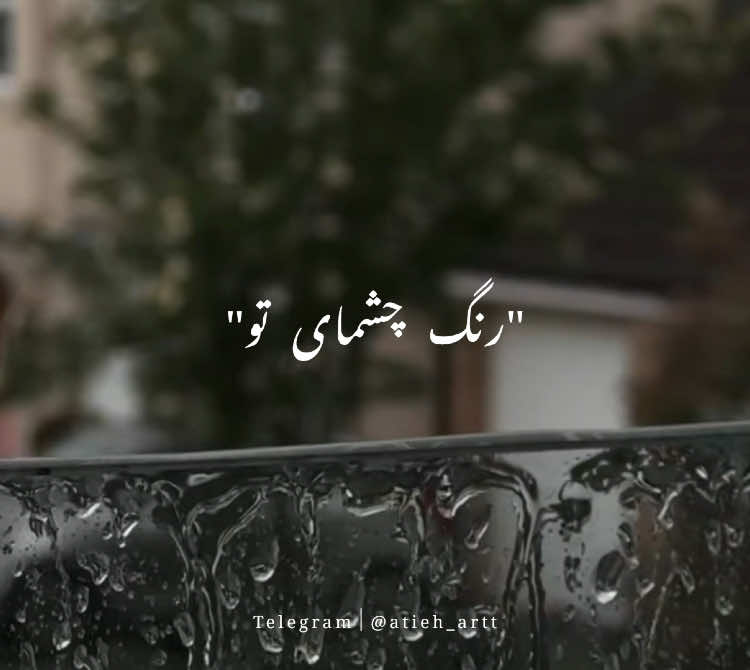 #فوریو #فوریوپیج #بروفوریو 