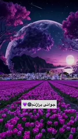 براژن🌚♥️تۆش براژنەکەت تاک بکە بلی ئەوهاجوانی🥹💜#دەربەنیم♥️ #ئەککتیڤبن🤍 #شارەزور_سەیسادق_کەلار_هەڵەبجە_دەربە #سەیدسادقیم #زەڕایەنیـم #هەڵبجەیم♥️ 