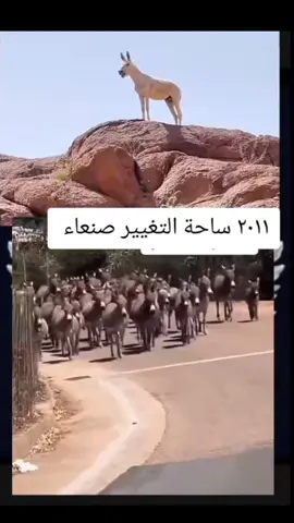 ساحة التغيير صنعاء،،2011 #الانتشار_السريع_الطائف  #تيك_توك #إكسبلور 