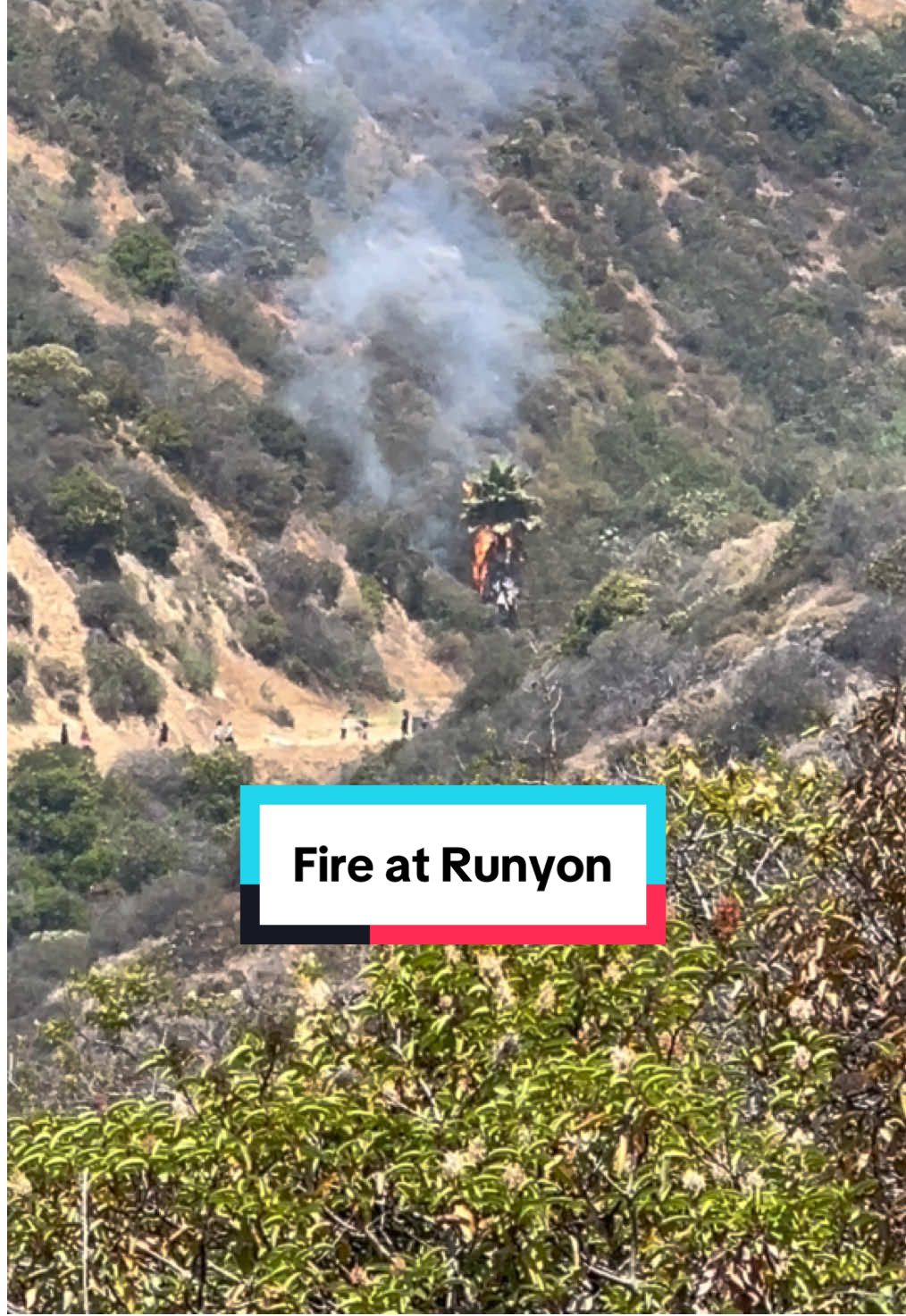 Watch out if you are heading to Runyon! Stay safe! #runyoncanyon #losangeles 