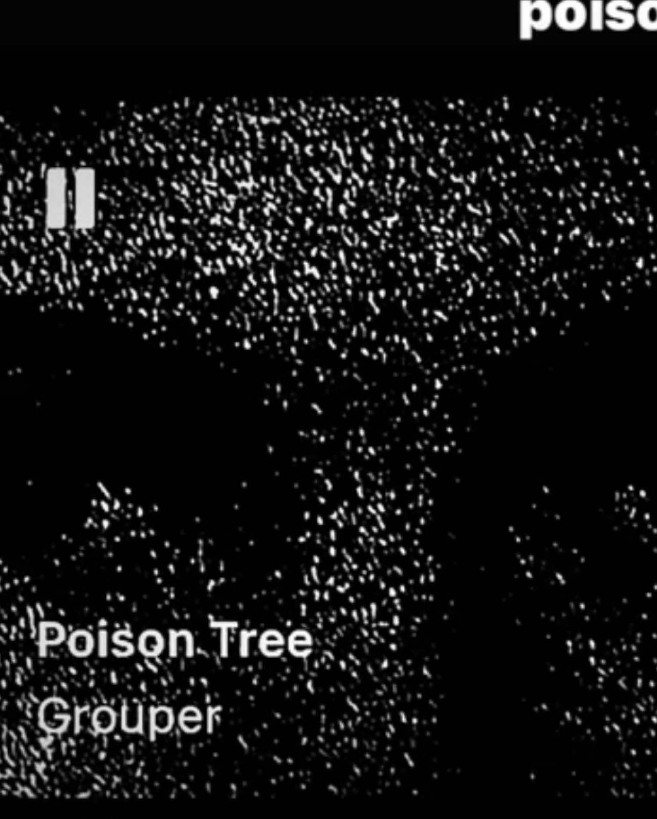 #poisontree #gruper #fyp     #foryou #fypシ #4u #m  poison tree 