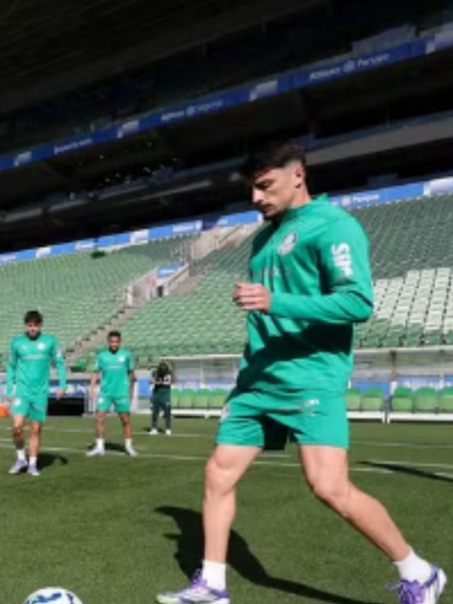 Palmeiras treina no Allianz com novidades e dois desfalques . #palmeiras #noticias #futebol