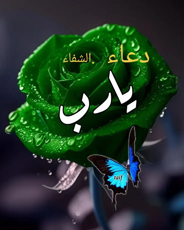 #🥰⚘️🥰⚘️🥰⚘️🥰⚘️🥰 دعاء الشفاء