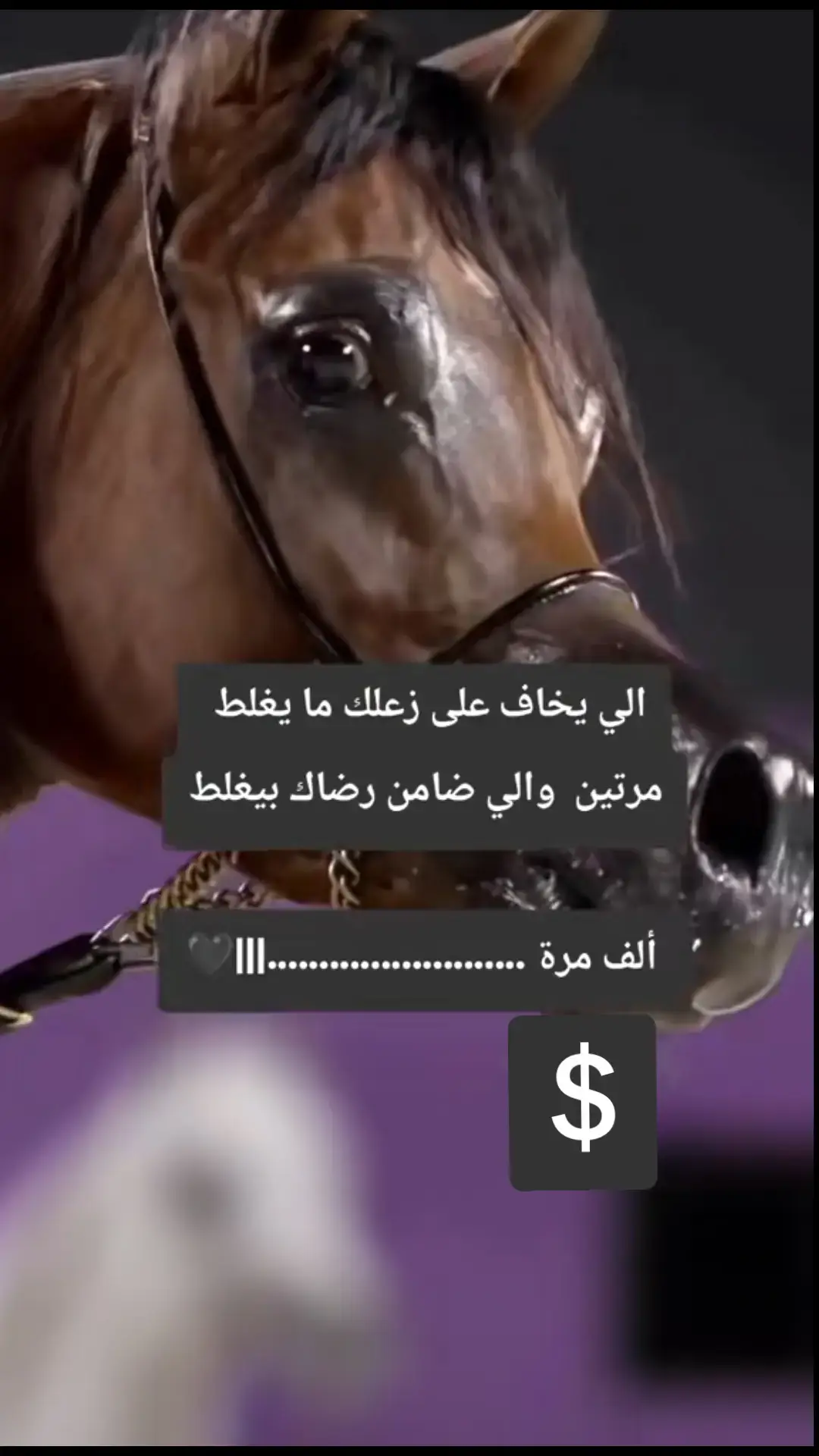 #مالي_خلق_احط_هاشتاقات #S 💔🥀