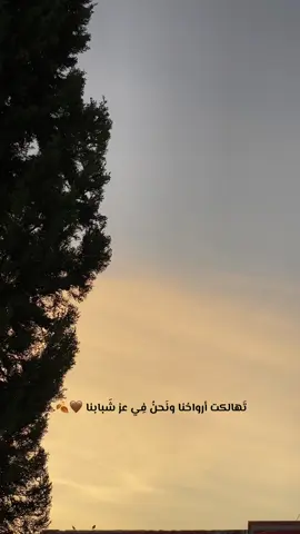 تهالكت أرواحنا ونحن في عز شبابنا 🤎🍂. #تعبان #حزين #حزن #فلسطين #تعب 