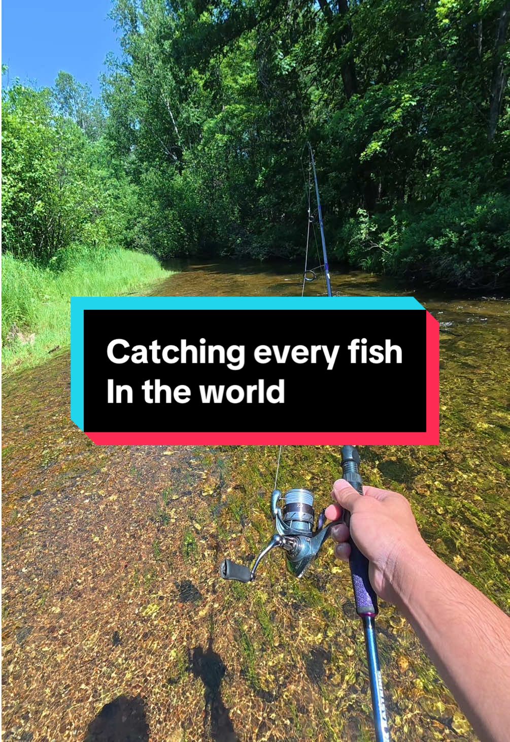 Day 1 of catching every fish in the world… this species took me into the river @FishAI #fishing #fishingvideos 