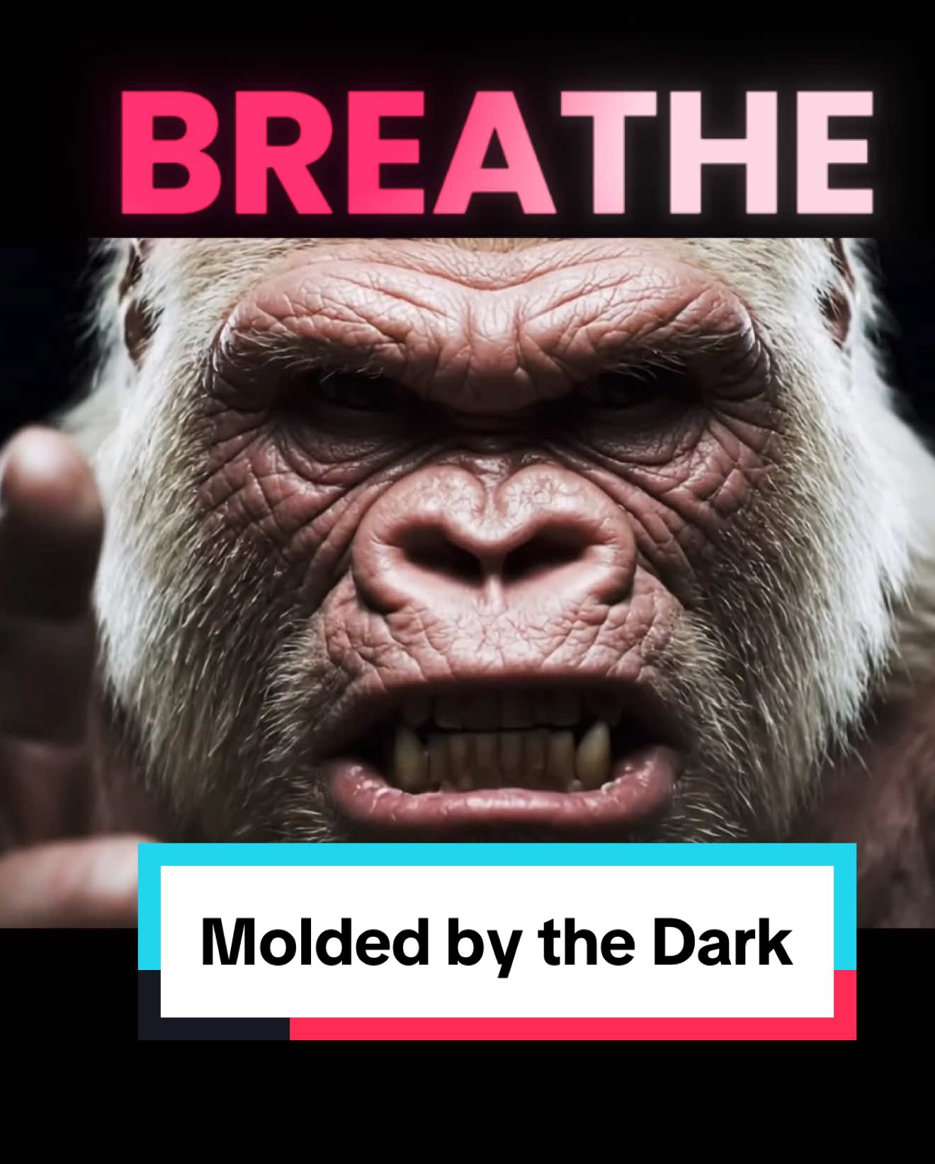 “Molded by the Dark” They run from what shaped you. The silence, the struggle, the pain — that’s where you became dangerous. #motivation #inspiration #mindset #nevergiveup #SelfImprovement #levelup #success #usa #viral 