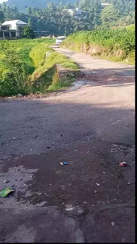 #rpt6898