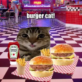 🍔🙀🙀🙀 burger cat #cats #catlover #catsoftiktok #heinz #catslovers #corecoretiktok #jollytok #sillycat #lovecats #memecat 