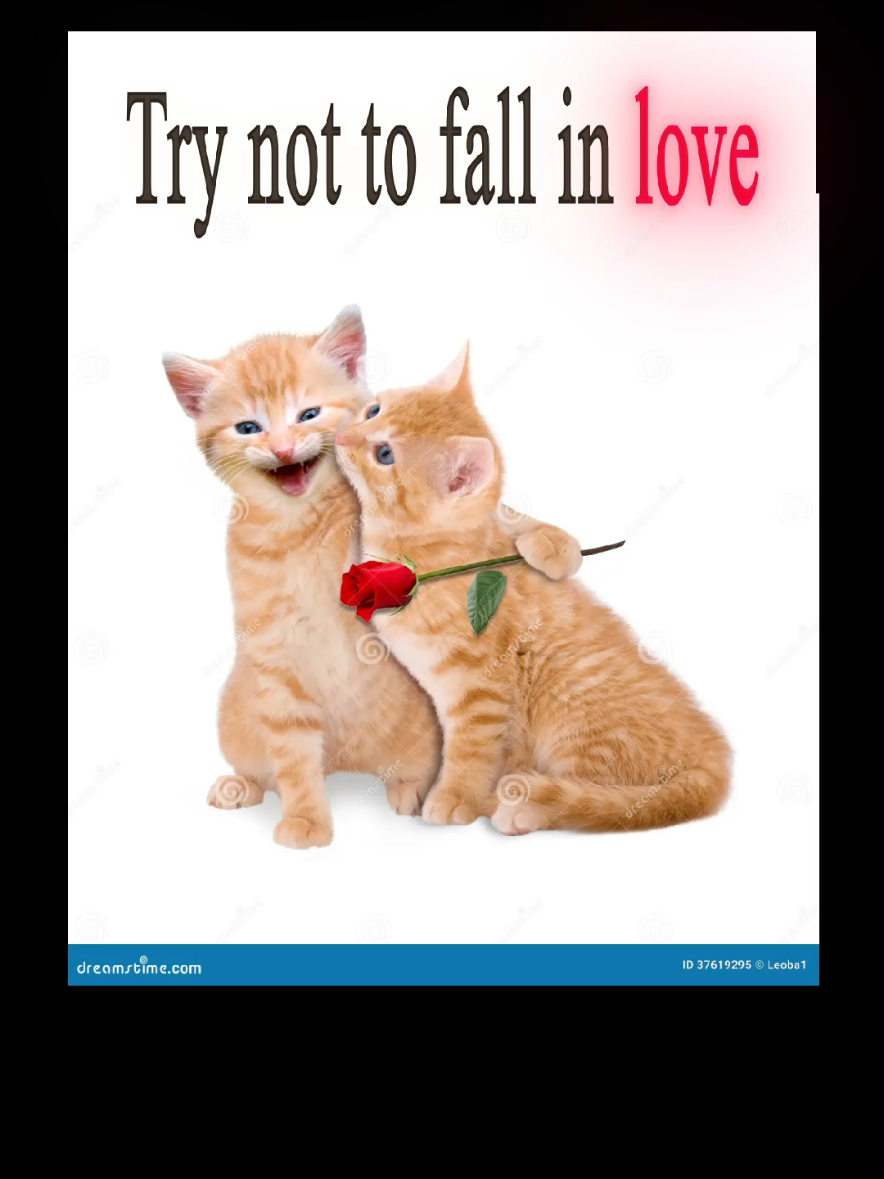 #fyp #foryou #offlain #catmemes 