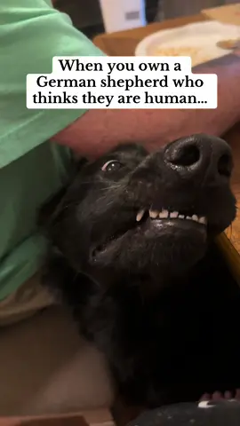 Her FACE 😂 #funny #viral #viralvideo #fyp 