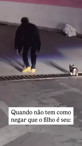 Não em como negar 🤣🤣🤣🤣 #cachorro #petlover #mundoanimal #superman 