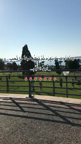 ..🌸🌸🌸🌸🌸🌸🌷 #تفاعلكم_لايك_متابعه_اكسبلوررررراexplore  #طرابلس_ليبيا🇱🇾 
