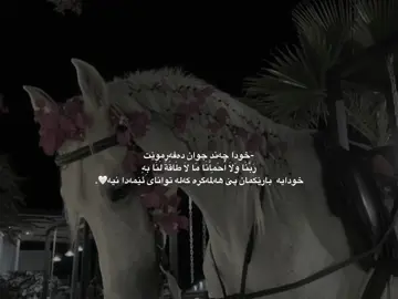کەلە توانای ئیمەدا نیە🤍،، #اللهم_صلي_على_نبينا_محمد #اللهم_صلي_على_نبينا_محمد #اللهم_صلي_على_نبينا_محمد #اللهم_صلي_على_نبينا_محمد #explore #explore #explore #foryoupagе #foryoupagе #1millonaudition #1milionaudition #1milionaudition #1milionaudition #fypppppppppppppppppppppp #quran_alkarim #quran_alkarim #quran_alkarim #quran_alkarim 