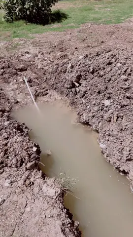 A river runs through it #odd #fyp #homeinspection #homeinspector #realtor #realestate #inspectortok #bizarre 