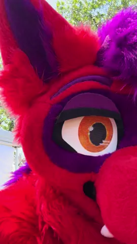 Whats the word? 🦜 #furry #furries #fursuiting #scalies #dragon #sandiegofurries #sandiego #scalie #dragons #dragonsofinstagram #fatfur