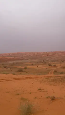 #الشتاء#النفود#حايل