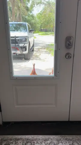 Wanting snacks