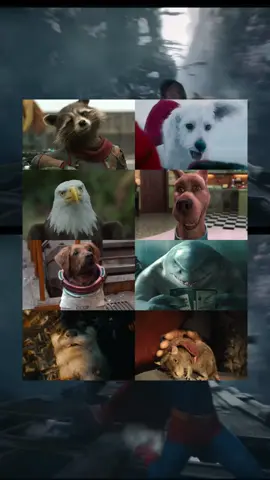 No one writes broken, lovable creatures like James Gunn. Misfits, monsters, and animals with more heart than most heroes 🦝🐕🦅🦈🐀 🦦  Fun fact: Superman’s dog Krypton is none other than James Gunn’s rescue dog Ozu, with the help of some GCI to make him appear white ✨