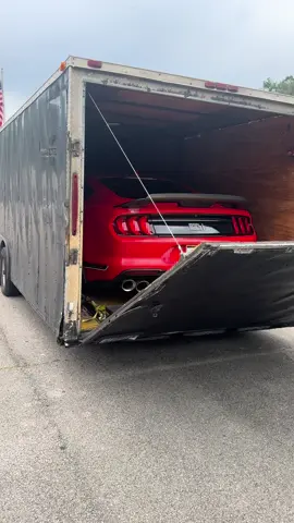 New car reveal🔥🔥🔥 follow to see what I do to this beast. #fyp #mach1 #ian #ford #boosted #fast #whipple #hellcat #viral #repost #follow 