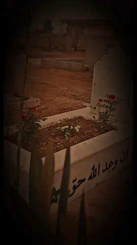 لو ميت وراك ولا متانيك #رحمج_الله_يا_فقيدة_قلبي💔🥀 #فراكج_خساره_جبيره_وتهد_الحيل💔😢 #الانبار_موصل_بغداد_اربيل_كل_المحافظات #الخليج_العربي_اردن_عمان_مصر_تونس_المغرب #ديالى_بعقوبة #القران_الكريم_راحه_نفسية😍🕋 #الخليج_العربي_اردن_عمان_مصر_تونس_المغرب #الانبار_موصل_بغداد_اربيل_كل_المحافظات 