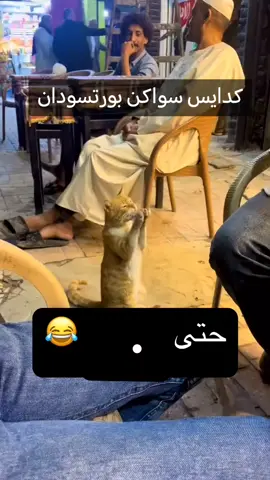 #بورتسودان_البحر_الأحمر_السودان🇸🇩 #