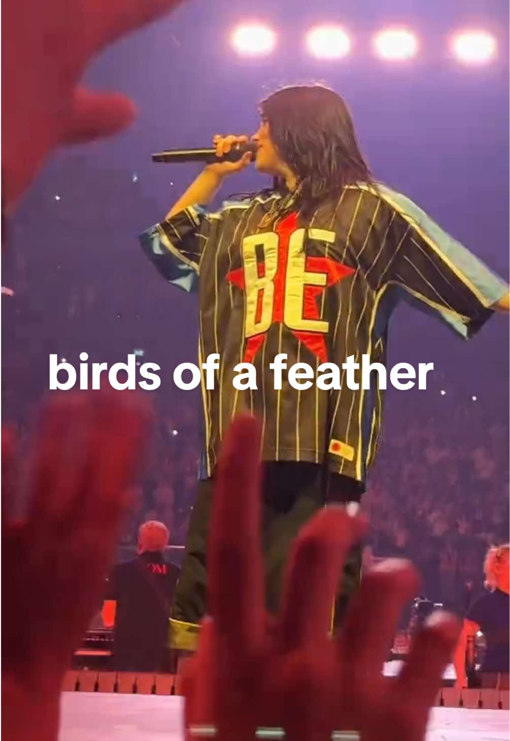 we should stick together @BILLIE EILISH @Billie Eilish Home #boaf #billieeilish #hmhasn3 #hmhas #hmhaslondon #birdsofafeather #concert