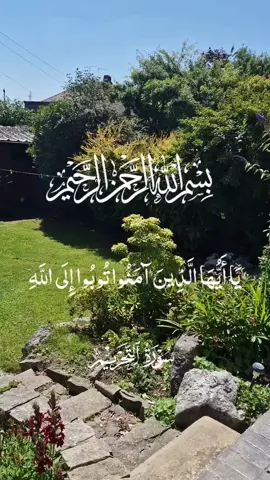 #CapCut #islamic_video #quoran #talawat_e_quaran_e_pak #spirituality #islamic 