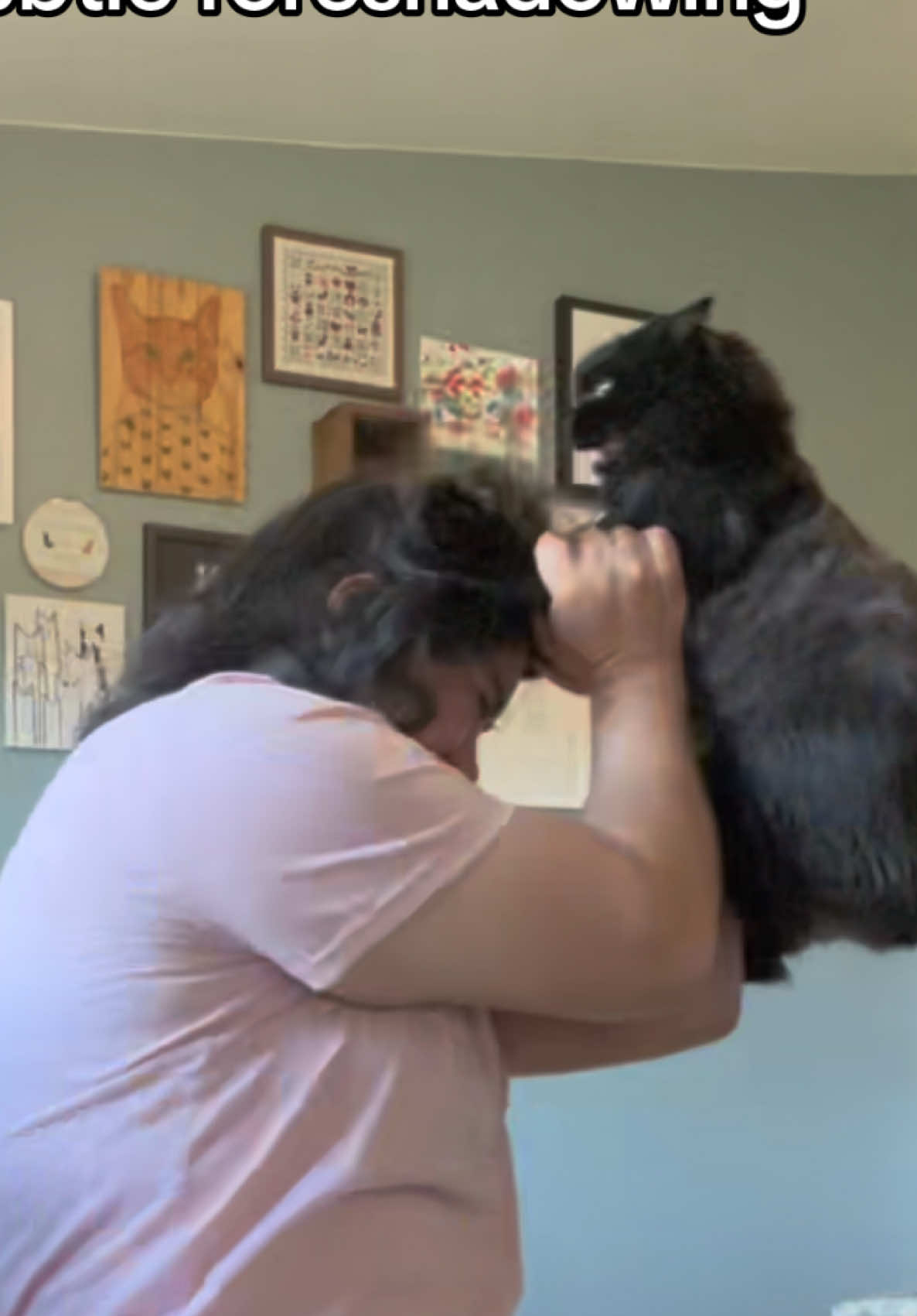This could be you! Sasha is still up for adoption at Cat Rescue and Adoption Network in Springfield, OR! 
