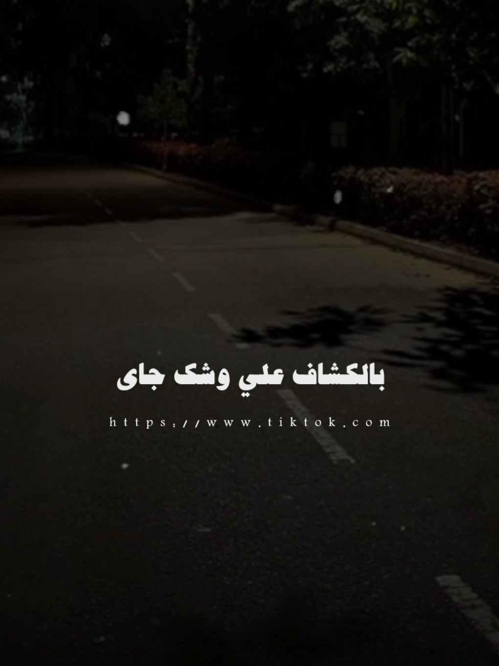 دارت الحرب هنضرب حي 😍 .   .  #اغاني #حلات_واتس #مهرجانات  #تصميمي🎬 #مصمم_فيديوهات #fyp#viral#foryoupage#foryou 
