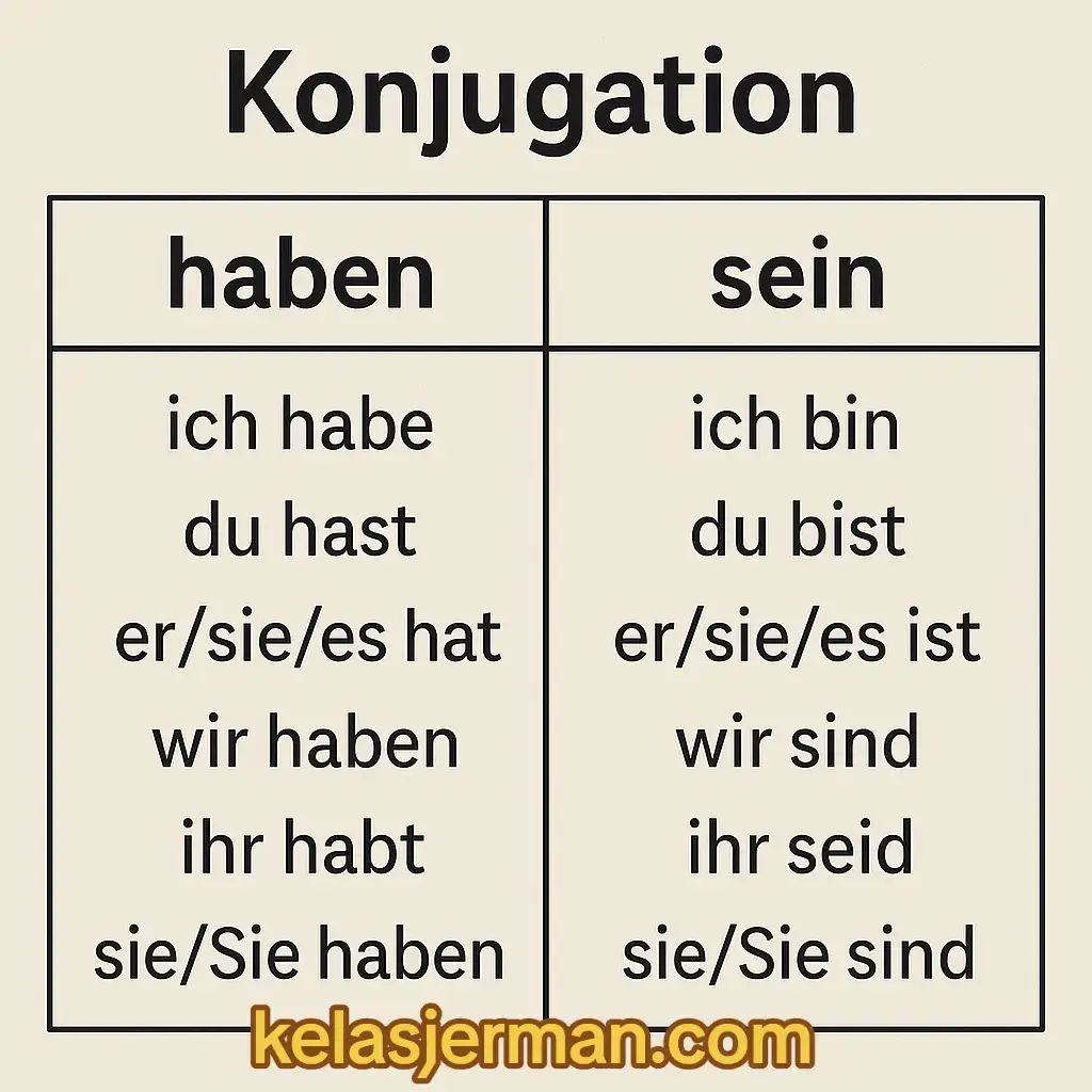 Konjugation haben-sein + Modalverben#modalverben #haben #sein #konjugation #fyp