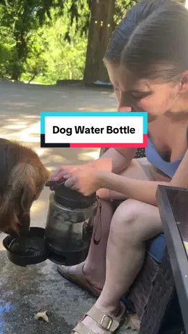 Best dog bottle ever!! #dogwaterbottle #dogwaterdispenser #portablepetwaterbottle #dogtravelbottle #petaccessories #dogaccessories #petproducts #dogproducts #dogwalking #adventuredog #PetsOfTikTok #dogsoftiktok #tiktokshop #tiktokshopfinds #tiktokshopcreatorpicks #fyp #tiktokmademebuyit 