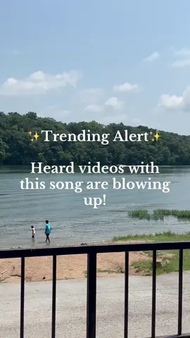 #trendingvideo #fypシ゚viral 