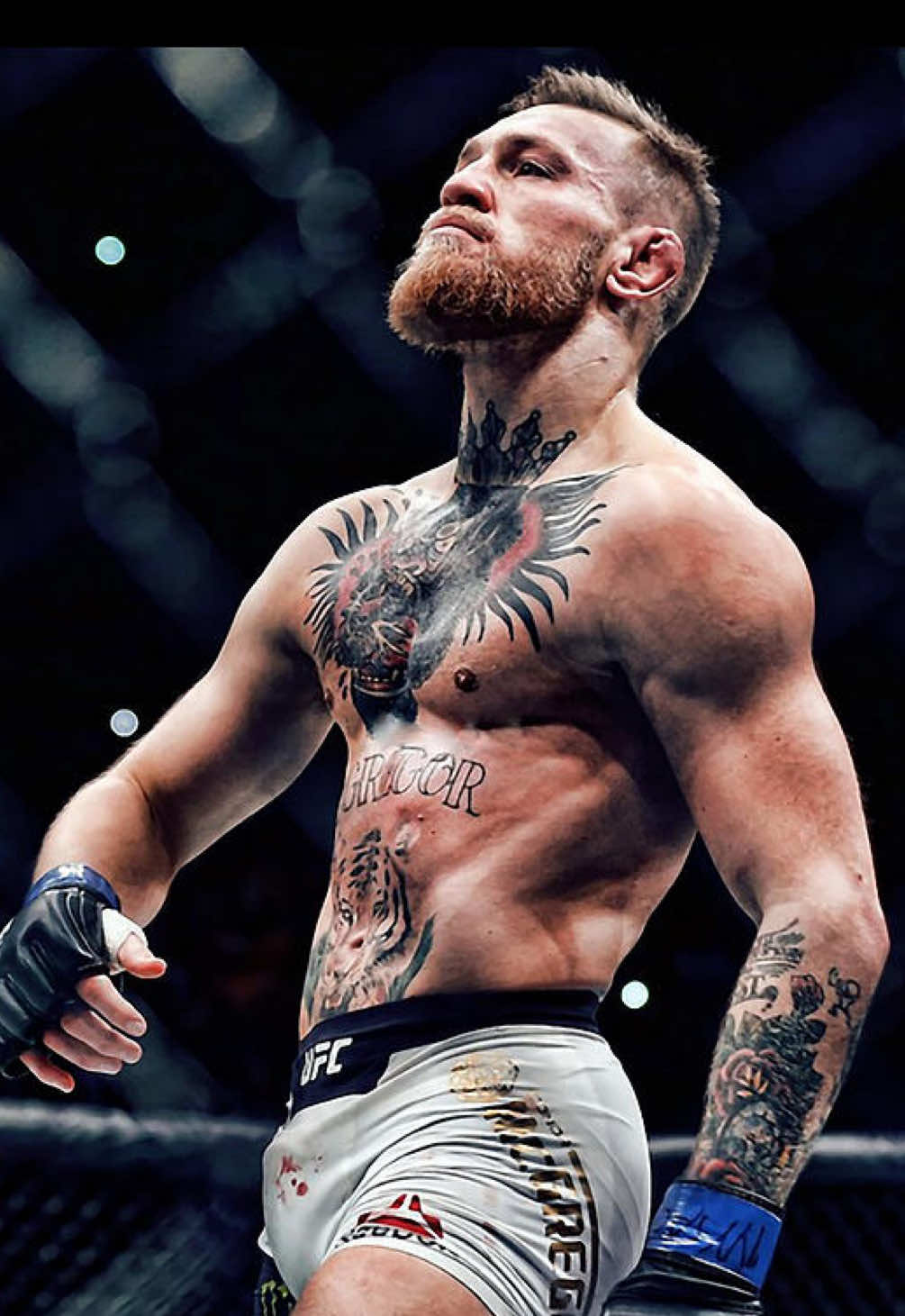 The Greatest Showman 🇮🇪 | #UFC #connormcgregor #josealdo #mma 