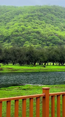 #وادي_دربات #تصويري #خريف_ظفار_2025 #salalah #salalah🇴🇲 #explore #اكسبلوررر 