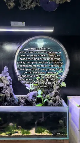 #fyp #fypviralシ #4u #quotes #katakata #reminder #sad #sadstory #galaubrutal #xybca #malang 