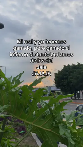 @🩶jessy🦋 
