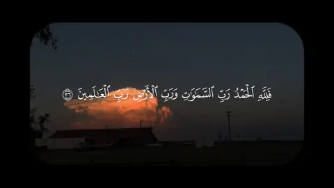 لا اله إلا الله 🤎.#قرآن #quran #علي_جابر 