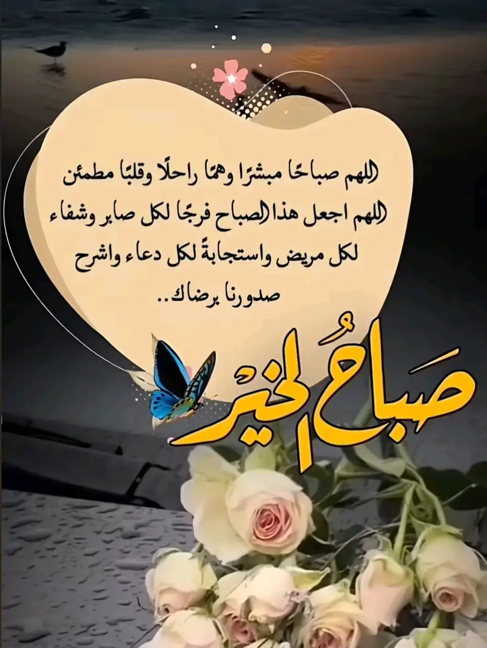 آللهمّ صلِّ وسَلّم على نَبينَا محمد وعلى آله وصحبه أجمعين وسلم تسليما كثيرا إلى يوم الدين #كسبلور_explor_محب_الخير_المدينة_المنورة_عبس 