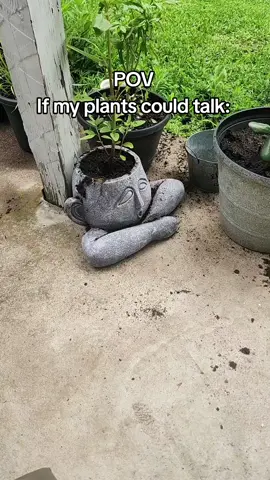 The ant was a paid actor 🐜  #plantsoftiktok #gardening #gardentok #plants 
