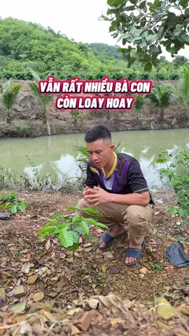 Lên đọt sau 1 tháng