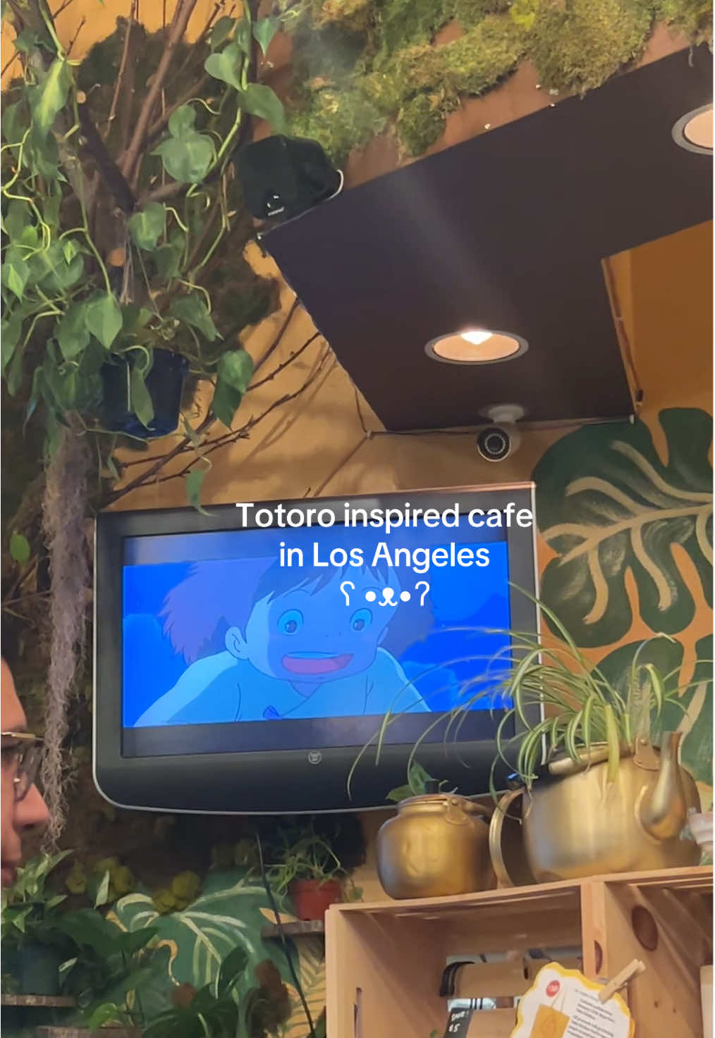 📍Yuko’s Kitchen 🌲💕 🖤 My favorite place to study and pretend I’m in a Studio Ghibli Movie. All of their food is so yummy and fresh and healthy too~ 🫶🏼 Super cute Totoro Inspired Cafe in Los Angeles!  #larestaurants #lafoodie #studioghibli #totoro #hayaomiyazaki #cafe #foodrecommendation 