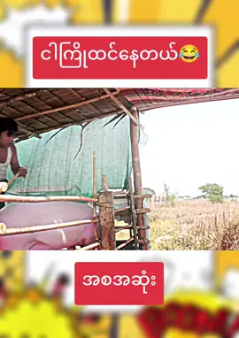 ငါကြိုထင်နေတယ်😂#အုန်းဒိုင်းသွက်လက်ဟာသ #သွက်လက်ဟာသ #ဟာသလေးများ🤣🤣🤣 #ဟာသလေးအားပေးပါအုံး🤣🤣🤣😅 #ဟာသကြိုက်သူများအတွက် #fyp #creatorsearchinsights #foryoupage 
