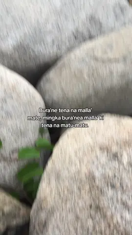 Kanre untu pikkirang..#kelongmangkasara #storymakassar #lagumakassar #makassar #pulaulutungan #tolitoli #sulawesitengah #fyppppppppppppppppppppppp #lewatberanda 
