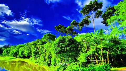 সব কিছুই যদি পেয়ে যাই তবে আফসোস করবো কি নিয়ে